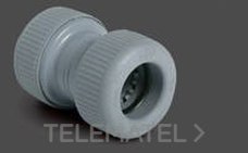 TERRAIN - MANGUITO UNION PB d.28